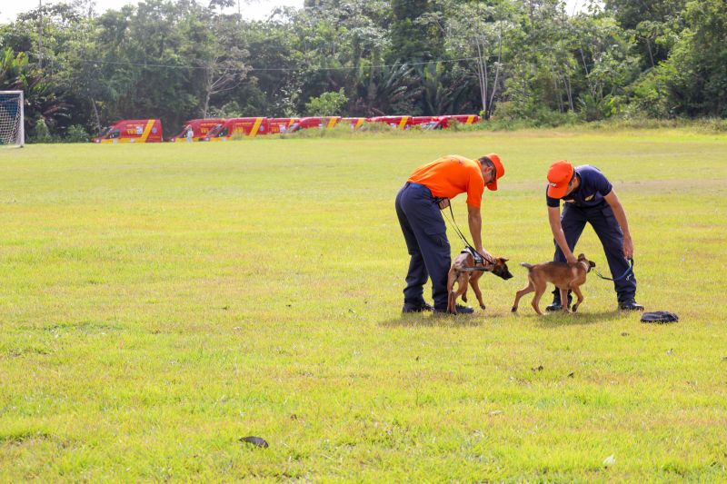  <div class='credito_fotos'>Foto: Pedro Guerreiro / Ag. Pará   |   <a href='/midias/2023/originais/17204_27acc99c-8a9d-0bdc-cb7a-2b696cf15ef5.jpg' download><i class='fa-solid fa-download'></i> Download</a></div>