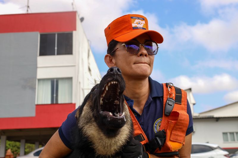  <div class='credito_fotos'>Foto: Pedro Guerreiro / Ag. Pará   |   <a href='/midias/2023/originais/17204_f1fd825c-3fc5-e195-76dd-e0f63436ffce.jpg' download><i class='fa-solid fa-download'></i> Download</a></div>
