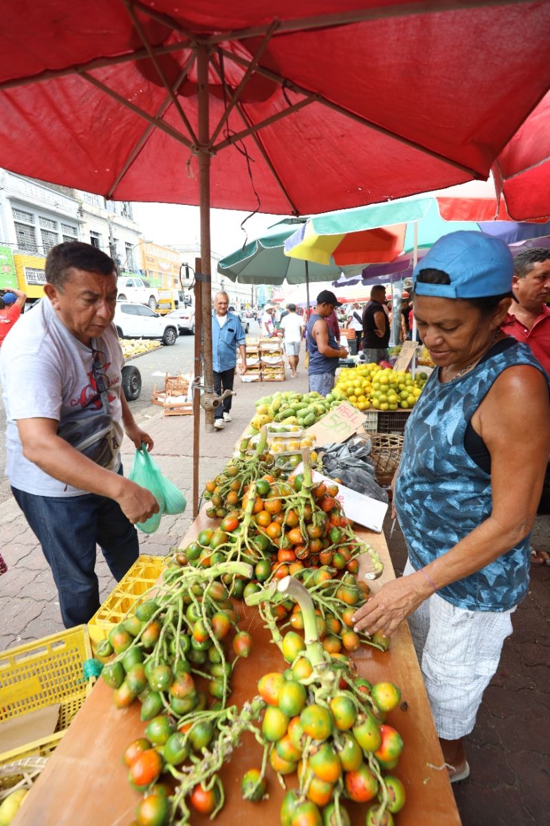  <div class='credito_fotos'>Foto: Bruno Cecim / Ag.Pará   |   <a href='/midias/2023/originais/17265_1c8fd338-3005-bfff-c63d-efe6eed43265.jpg' download><i class='fa-solid fa-download'></i> Download</a></div>