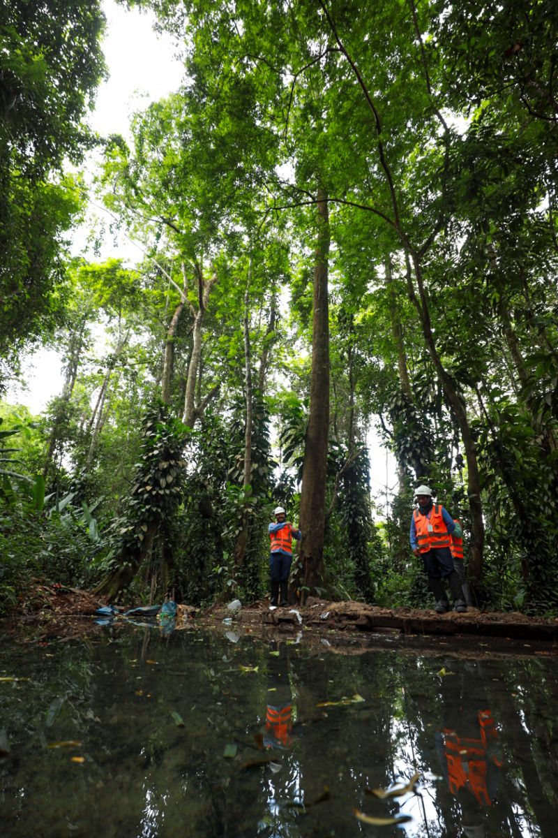  <div class='credito_fotos'>Foto: Alex Ribeiro / Ag. Pará   |   <a href='/midias/2023/originais/17272_39437f0d-5242-9629-ead6-e5bb5d71e996.jpg' download><i class='fa-solid fa-download'></i> Download</a></div>