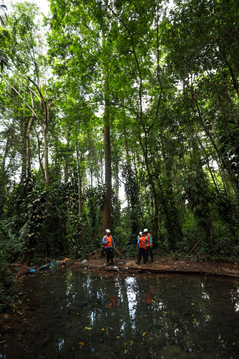  <div class='credito_fotos'>Foto: Alex Ribeiro / Ag. Pará   |   <a href='/midias/2023/originais/17272_7d376092-9a7a-d1fd-7d79-38c49047a0f5.jpg' download><i class='fa-solid fa-download'></i> Download</a></div>