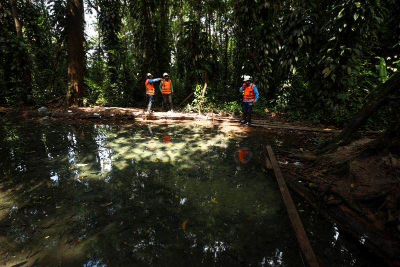  <div class='credito_fotos'>Foto: Alex Ribeiro / Ag. Pará   |   <a href='/midias/2023/originais/17272_8c3f3b94-9b55-0751-a778-79a24627b796.jpg' download><i class='fa-solid fa-download'></i> Download</a></div>