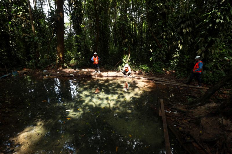  <div class='credito_fotos'>Foto: Alex Ribeiro / Ag. Pará   |   <a href='/midias/2023/originais/17272_997dc905-381c-948b-6d97-d32e131388b4.jpg' download><i class='fa-solid fa-download'></i> Download</a></div>