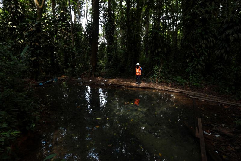  <div class='credito_fotos'>Foto: Alex Ribeiro / Ag. Pará   |   <a href='/midias/2023/originais/17272_9d330f15-adac-e256-b266-402f4c73fcdc.jpg' download><i class='fa-solid fa-download'></i> Download</a></div>