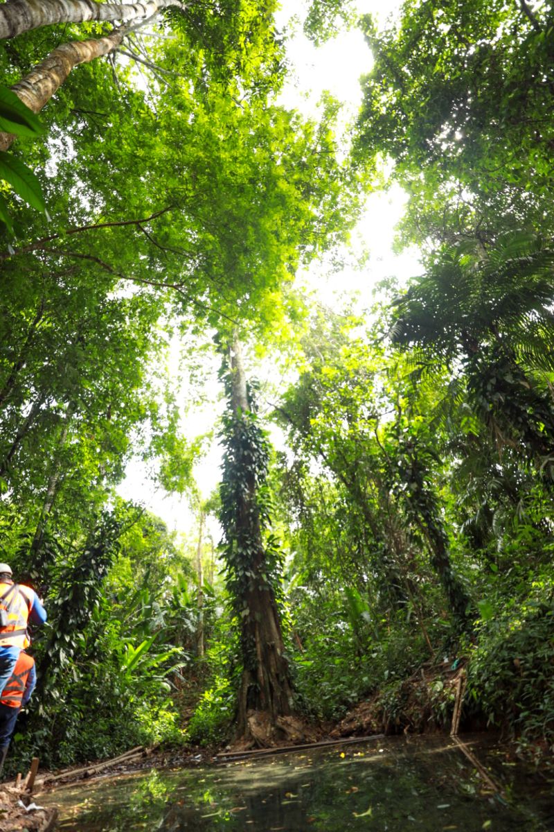  <div class='credito_fotos'>Foto: Alex Ribeiro / Ag. Pará   |   <a href='/midias/2023/originais/17272_c906742d-29e9-e4c7-ce08-79e0587fb9e0.jpg' download><i class='fa-solid fa-download'></i> Download</a></div>