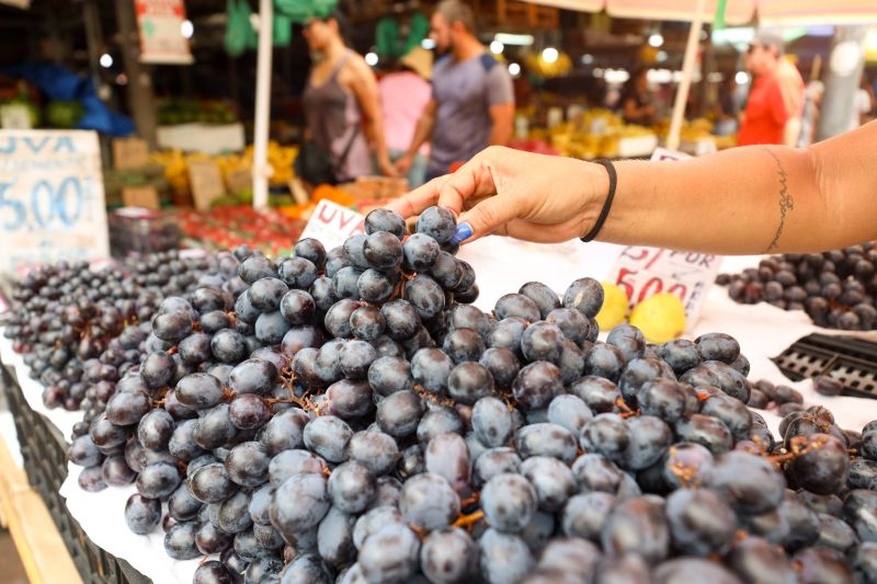  <div class='credito_fotos'>Foto: Bruno Cecim / Ag.Pará   |   <a href='/midias/2023/originais/17283_340ef0e0-cd2c-8f3c-6f96-748a8e124cb3.jpg' download><i class='fa-solid fa-download'></i> Download</a></div>