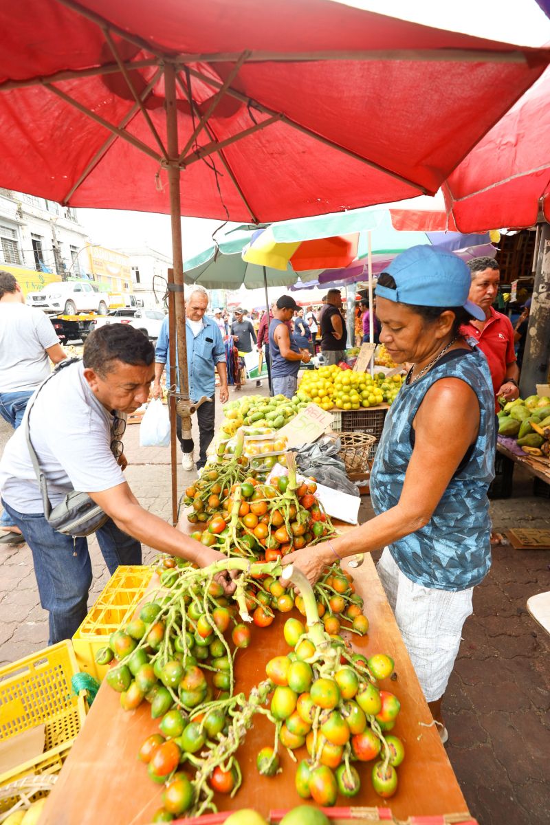  <div class='credito_fotos'>Foto: Bruno Cecim / Ag.Pará   |   <a href='/midias/2023/originais/17283_3d32d10e-a927-354d-2722-e8ed4da5d76a.jpg' download><i class='fa-solid fa-download'></i> Download</a></div>