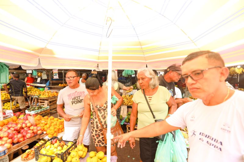  <div class='credito_fotos'>Foto: Bruno Cecim / Ag.Pará   |   <a href='/midias/2023/originais/17283_4f15ed5e-aa0e-c8bd-73d7-448e521507bf.jpg' download><i class='fa-solid fa-download'></i> Download</a></div>