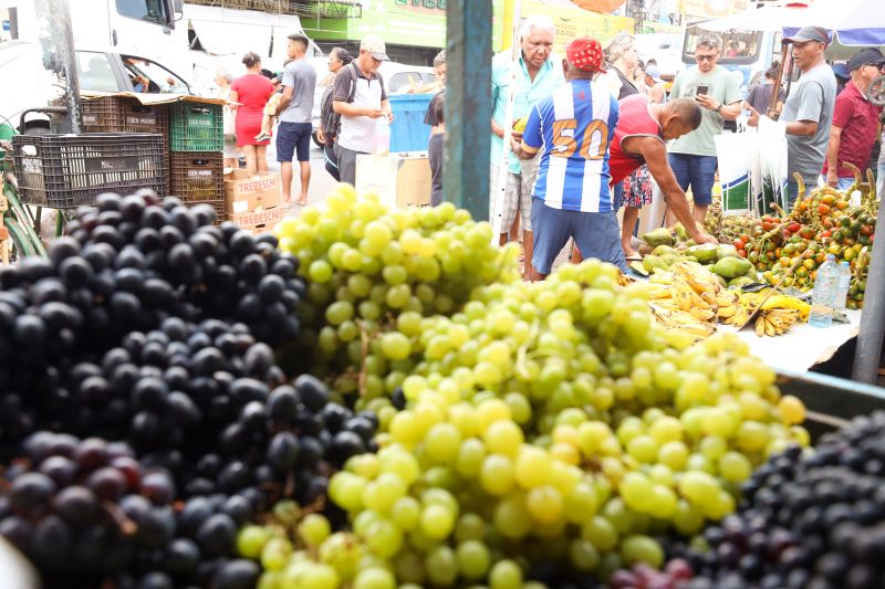  <div class='credito_fotos'>Foto: Bruno Cecim / Ag.Pará   |   <a href='/midias/2023/originais/17283_c402e72a-2ba1-f59c-3cce-9176acf4927a.jpg' download><i class='fa-solid fa-download'></i> Download</a></div>