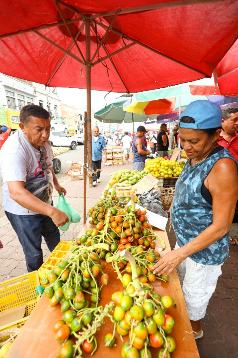  <div class='credito_fotos'>Foto: Bruno Cecim / Ag.Pará   |   <a href='/midias/2023/originais/17283_e721c053-545f-2f03-5639-8de72e83a4cd.jpg' download><i class='fa-solid fa-download'></i> Download</a></div>