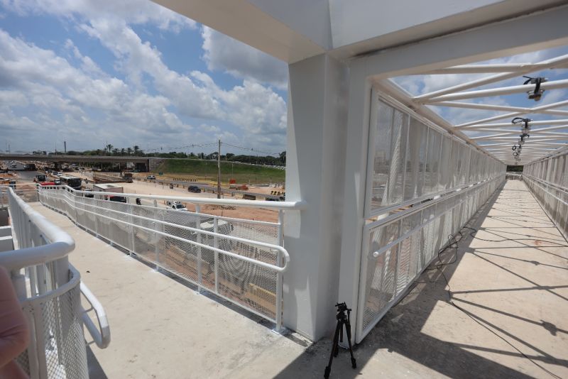 <div class='credito_fotos'>Foto: Bruno Cecim / Ag.Pará | <a href='/midias/2023/originais/17317_ace71003-1077-2ff0-caa0-da854e2e82eb.jpg' download><i class='fa-solid fa-download'></i> Download</a></div>