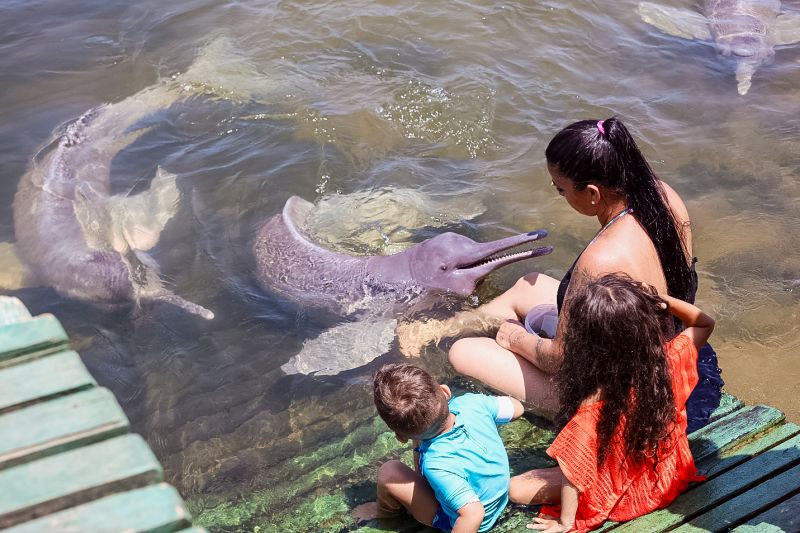 <div class='credito_fotos'>Foto: Bruno Cecim / Ag.Pará | <a href='/midias/2023/originais/17346_0b5aefda-73a6-4e47-11f9-3221e361860a.jpg' download><i class='fa-solid fa-download'></i> Download</a></div>