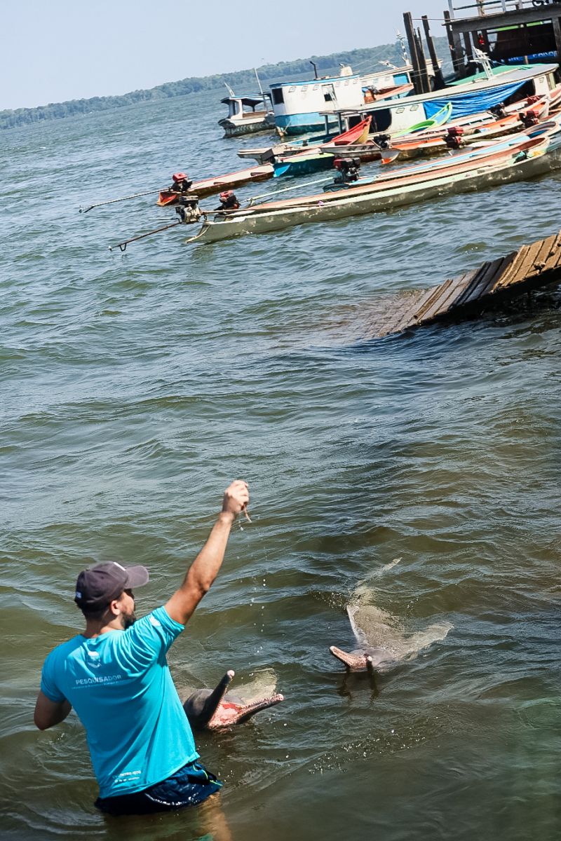 <div class='credito_fotos'>Foto: Bruno Cecim / Ag.Pará | <a href='/midias/2023/originais/17346_117c623b-1b66-4ed7-a4f7-b1db19fd5899.jpg' download><i class='fa-solid fa-download'></i> Download</a></div>