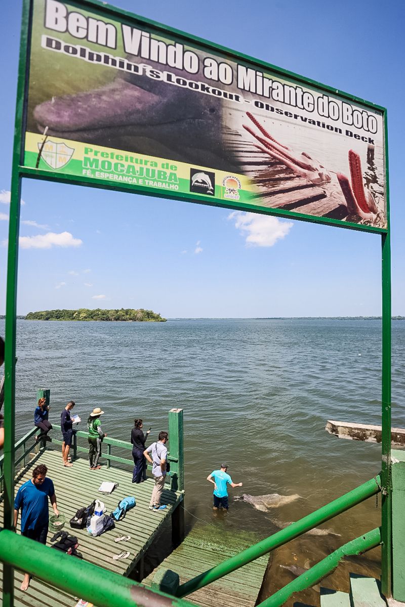 <div class='credito_fotos'>Foto: Bruno Cecim / Ag.Pará | <a href='/midias/2023/originais/17346_18e9bb88-d0fd-27a7-1223-0c22dadcb08e.jpg' download><i class='fa-solid fa-download'></i> Download</a></div>