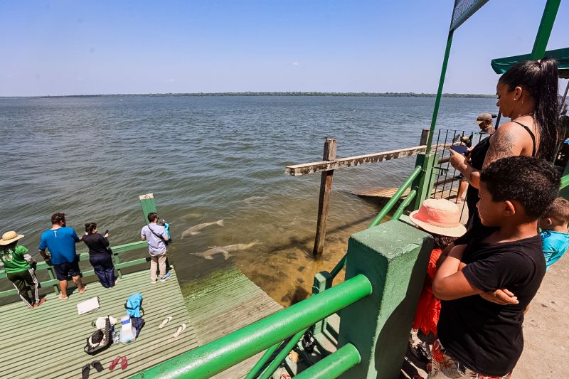 <div class='credito_fotos'>Foto: Bruno Cecim / Ag.Pará | <a href='/midias/2023/originais/17346_19fb8945-624d-ddd1-08a5-0cbcd0b00a6c.jpg' download><i class='fa-solid fa-download'></i> Download</a></div>