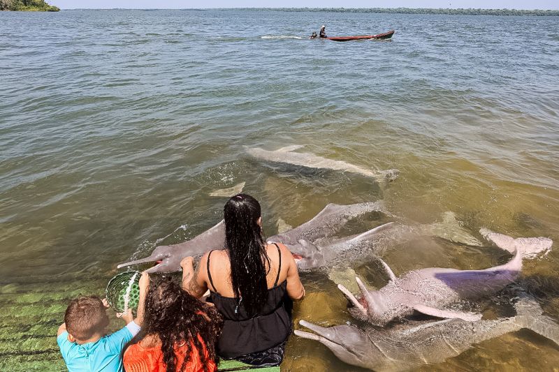 <div class='credito_fotos'>Foto: Bruno Cecim / Ag.Pará | <a href='/midias/2023/originais/17346_68953331-ad01-a77f-d39b-b91842ad9f0a.jpg' download><i class='fa-solid fa-download'></i> Download</a></div>