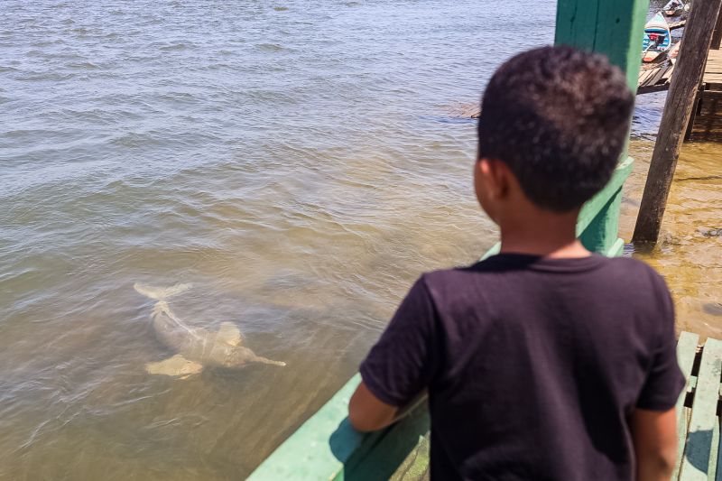 <div class='credito_fotos'>Foto: Bruno Cecim / Ag.Pará | <a href='/midias/2023/originais/17346_6c49a16b-ea39-bdd5-e301-8defcfb40bfc.jpg' download><i class='fa-solid fa-download'></i> Download</a></div>