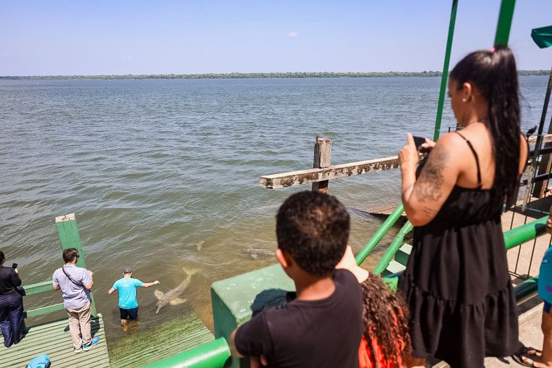 <div class='credito_fotos'>Foto: Bruno Cecim / Ag.Pará | <a href='/midias/2023/originais/17346_6e851023-e741-a536-84b5-c61b0de81dce.jpg' download><i class='fa-solid fa-download'></i> Download</a></div>