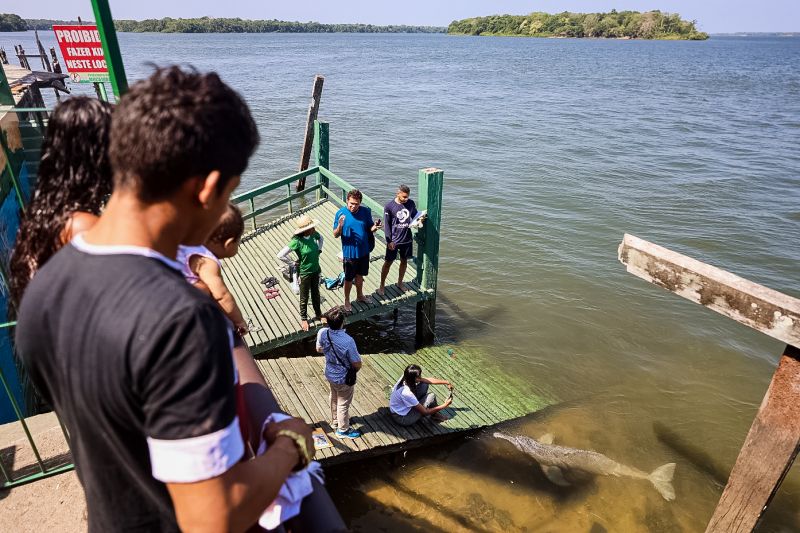 <div class='credito_fotos'>Foto: Bruno Cecim / Ag.Pará | <a href='/midias/2023/originais/17346_6eec4430-07ce-ad1c-1409-9a837863c43a.jpg' download><i class='fa-solid fa-download'></i> Download</a></div>