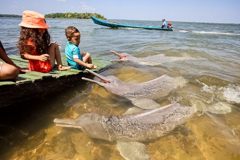 <div class='credito_fotos'>Foto: Bruno Cecim / Ag.Pará | <a href='/midias/2023/originais/17346_78212fd2-d936-8494-7367-898d4141c35a.jpg' download><i class='fa-solid fa-download'></i> Download</a></div>