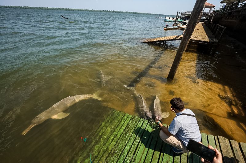 <div class='credito_fotos'>Foto: Bruno Cecim / Ag.Pará | <a href='/midias/2023/originais/17346_8564ad65-e4ed-7094-2c45-dcc2190665bc.jpg' download><i class='fa-solid fa-download'></i> Download</a></div>