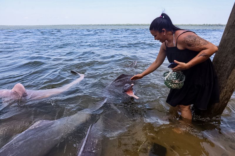<div class='credito_fotos'>Foto: Bruno Cecim / Ag.Pará | <a href='/midias/2023/originais/17346_8fff13c1-1655-815d-3d41-41f863749bc1.jpg' download><i class='fa-solid fa-download'></i> Download</a></div>