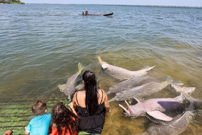 <div class='credito_fotos'>Foto: Bruno Cecim / Ag.Pará | <a href='/midias/2023/originais/17346_b55beff1-bf73-17c9-e7c1-cd3ae47d91df.jpg' download><i class='fa-solid fa-download'></i> Download</a></div>