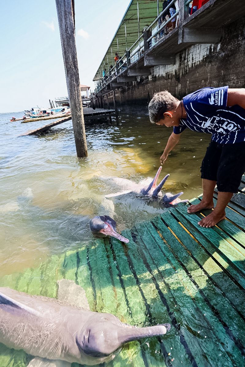 <div class='credito_fotos'>Foto: Bruno Cecim / Ag.Pará | <a href='/midias/2023/originais/17346_cf4ae41c-9f67-bb84-1a52-a325fc6a5130.jpg' download><i class='fa-solid fa-download'></i> Download</a></div>