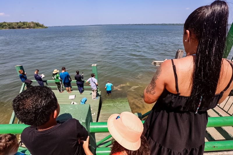 <div class='credito_fotos'>Foto: Bruno Cecim / Ag.Pará | <a href='/midias/2023/originais/17346_de1e1192-e37a-f754-1190-bf836dc274f1.jpg' download><i class='fa-solid fa-download'></i> Download</a></div>