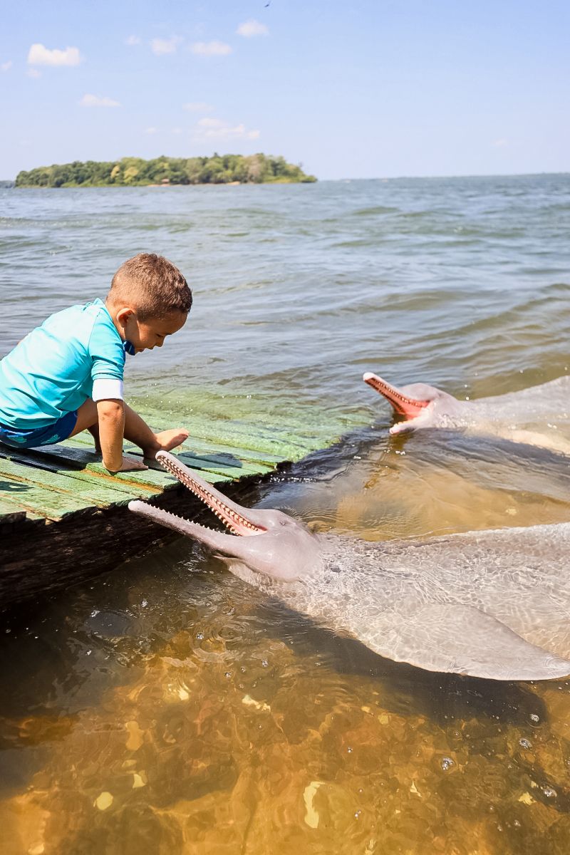 <div class='credito_fotos'>Foto: Bruno Cecim / Ag.Pará | <a href='/midias/2023/originais/17346_f402f520-b3fb-2d71-c179-b4bcfac26ddf.jpg' download><i class='fa-solid fa-download'></i> Download</a></div>