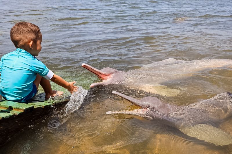 <div class='credito_fotos'>Foto: Bruno Cecim / Ag.Pará | <a href='/midias/2023/originais/17346_f86dedef-91e8-3f11-3511-d50732d56328.jpg' download><i class='fa-solid fa-download'></i> Download</a></div>
