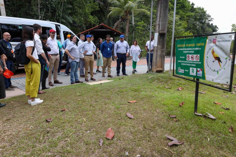 <div class='credito_fotos'>Foto: Pedro Guerreiro / Ag. Pará | <a href='/midias/2023/originais/17434_07a7e98e-9153-9aeb-2e0e-0da9ec84b907.jpg' download><i class='fa-solid fa-download'></i> Download</a></div>