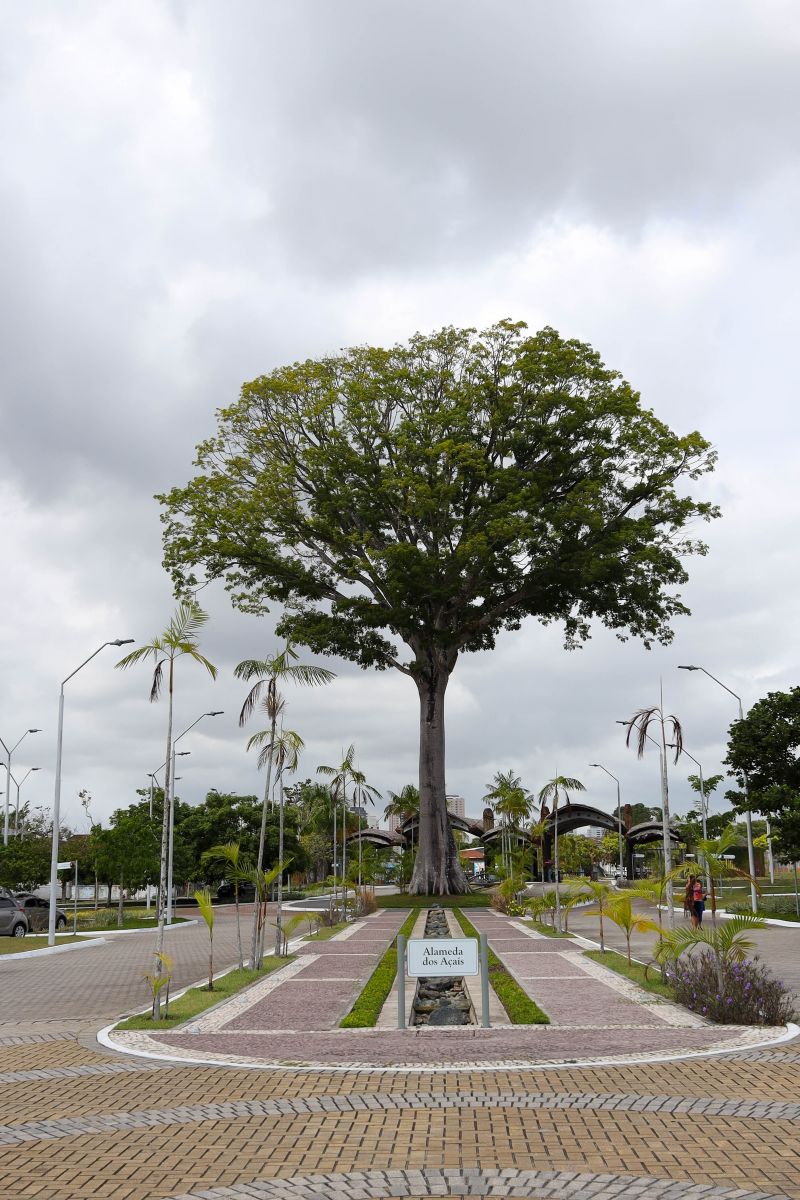 <div class='credito_fotos'>Foto: Pedro Guerreiro / Ag. Pará | <a href='/midias/2023/originais/17434_99f1390b-9fdb-3a89-c4bf-3ab251a87a26.jpg' download><i class='fa-solid fa-download'></i> Download</a></div>