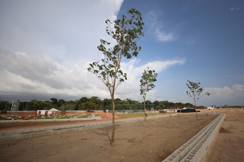 <div class='credito_fotos'>Foto: Rodrigo Pinheiro / Ag.Pará | <a href='/midias/2023/originais/17467_173bbd46-618d-b086-6754-e28995b5aa4b.jpg' download><i class='fa-solid fa-download'></i> Download</a></div>