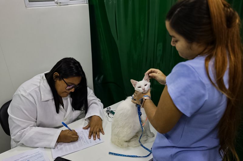 <div class='credito_fotos'>Foto: Bruno Cecim / Ag.Pará | <a href='/midias/2023/originais/17538_cf1587b2-84dd-b9a8-214e-8a61f6a1f1a9.jpg' download><i class='fa-solid fa-download'></i> Download</a></div>