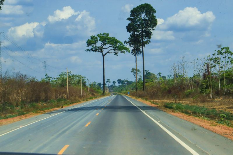 <div class='credito_fotos'>Foto: Wellyngton Coelho / Ag.Pará | <a href='/midias/2023/originais/17583_0fc159cf-00ec-fb24-1870-65528a33d568.jpg' download><i class='fa-solid fa-download'></i> Download</a></div>