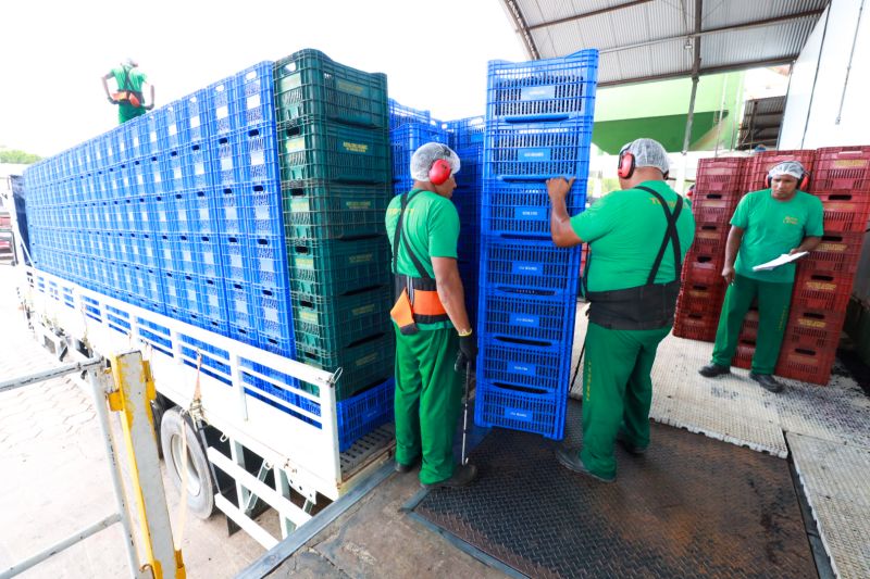 <div class='credito_fotos'>Foto: Alex Ribeiro / Ag. Pará | <a href='/midias/2023/originais/17603_0f54c0c4-a381-bf72-2dbb-00fcd10c54fa.jpg' download><i class='fa-solid fa-download'></i> Download</a></div>
