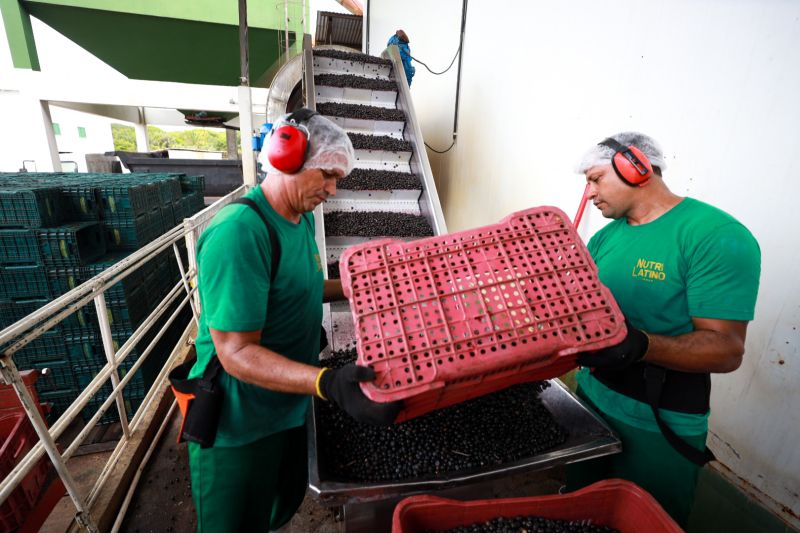 <div class='credito_fotos'>Foto: Alex Ribeiro / Ag. Pará | <a href='/midias/2023/originais/17603_4983f314-ffbb-9634-67a7-3648887248e7.jpg' download><i class='fa-solid fa-download'></i> Download</a></div>