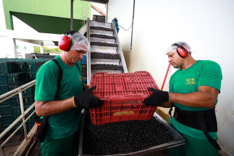 <div class='credito_fotos'>Foto: Alex Ribeiro / Ag. Pará | <a href='/midias/2023/originais/17603_94e64b51-02d7-2750-a398-cf6e3e8d82cd.jpg' download><i class='fa-solid fa-download'></i> Download</a></div>