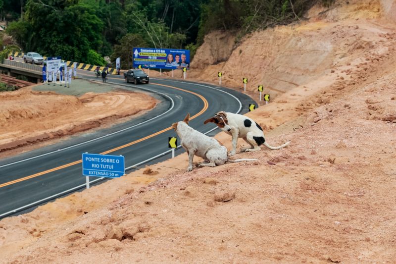 <div class='credito_fotos'>Foto: Marco Santos / Ag. Pará | <a href='/midias/2023/originais/17620_a5ba8952-afe2-d88d-8059-1fae2ee9598b.jpg' download><i class='fa-solid fa-download'></i> Download</a></div>