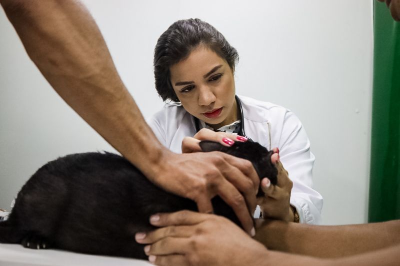 <div class='credito_fotos'>Foto: Pedro Guerreiro / Ag. Pará | <a href='/midias/2023/originais/17621_749fbfe9-583e-79bf-b4df-798b5fc82ef0.jpg' download><i class='fa-solid fa-download'></i> Download</a></div>