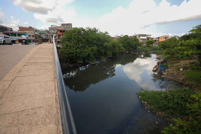 <div class='credito_fotos'>Foto: Bruno Cecim / Ag.Pará | <a href='/midias/2023/originais/17702_72d42c5b-a23e-e8db-1990-06f104296713.jpg' download><i class='fa-solid fa-download'></i> Download</a></div>