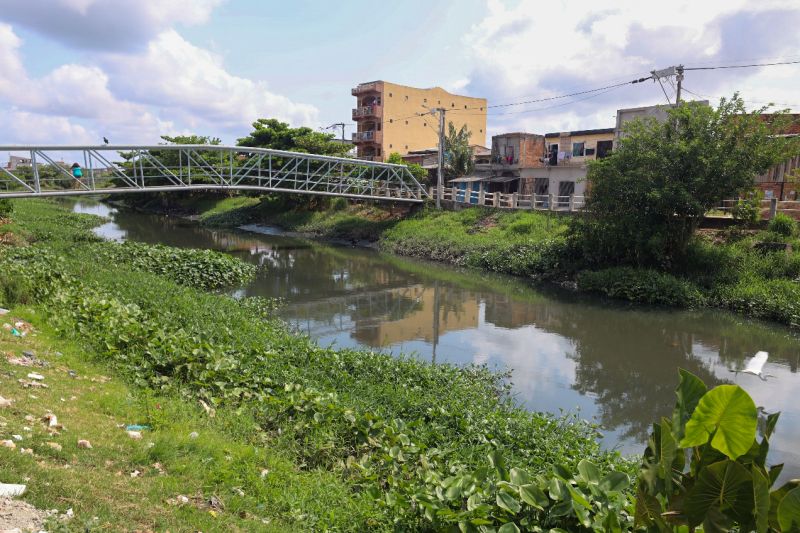 <div class='credito_fotos'>Foto: Bruno Cecim / Ag.Pará | <a href='/midias/2023/originais/17702_cb15df9a-176f-c410-77d7-31c32836cbeb.jpg' download><i class='fa-solid fa-download'></i> Download</a></div>