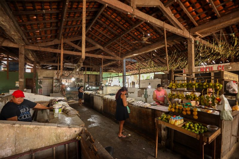 <div class='credito_fotos'>Foto: Bruno Cecim / Ag.Pará | <a href='/midias/2023/originais/17702_cd7253af-9a80-41b4-3ac6-0f2ed5fb0caf.jpg' download><i class='fa-solid fa-download'></i> Download</a></div>