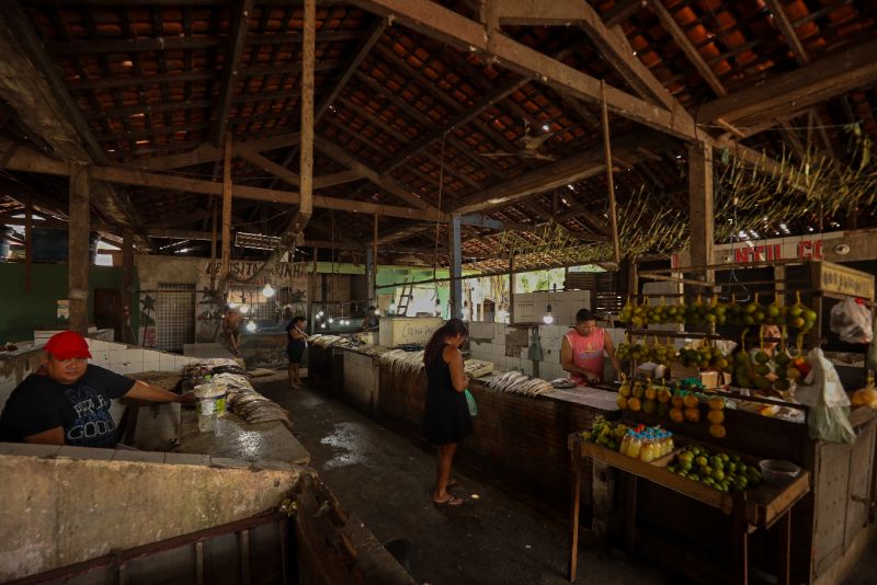 <div class='credito_fotos'>Foto: Bruno Cecim / Ag.Pará | <a href='/midias/2023/originais/17702_d0d0752e-53e7-98dc-a8ae-dd2f8c114603.jpg' download><i class='fa-solid fa-download'></i> Download</a></div>