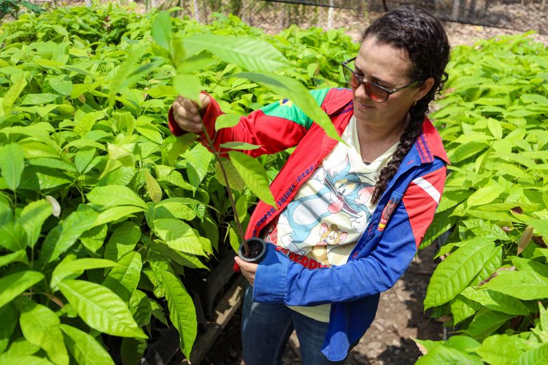 Maria Gorete Rios - Agricultora familiar <div class='credito_fotos'>Foto: Marcelo Lelis / Ag. Pará | <a href='/midias/2023/originais/17747_07d8ad53-cf8a-7ca9-36ce-6fc4940bb445.jpg' download><i class='fa-solid fa-download'></i> Download</a></div>