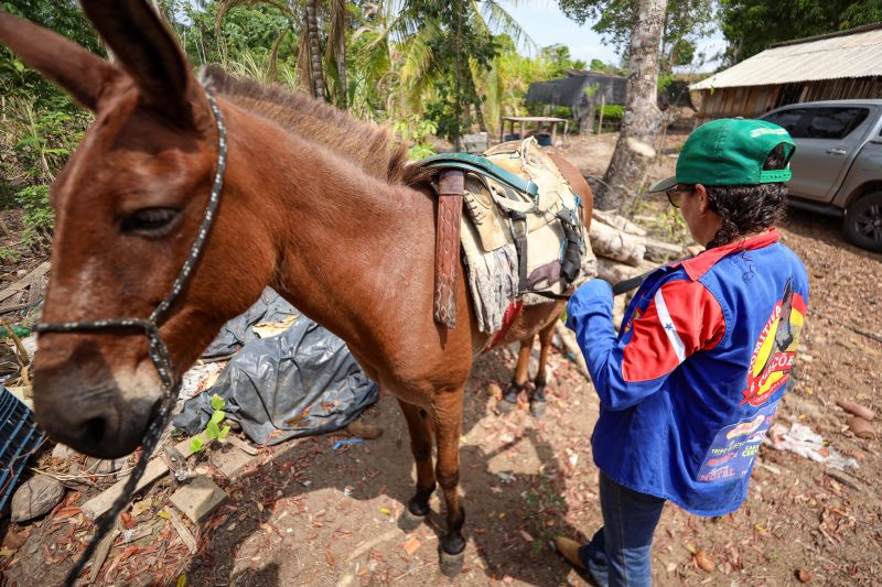 <div class='credito_fotos'>Foto: Marcelo Lelis / Ag. Pará | <a href='/midias/2023/originais/17747_14255559-b43b-c205-bd09-ad6deb63e347.jpg' download><i class='fa-solid fa-download'></i> Download</a></div>