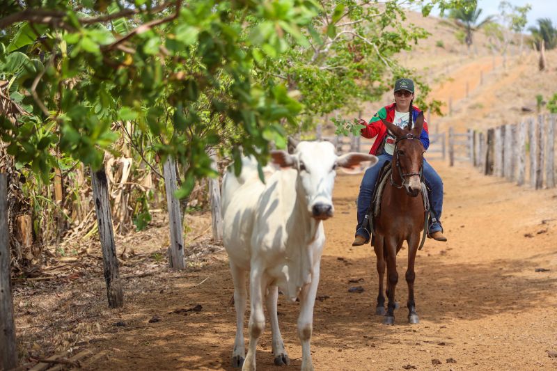 <div class='credito_fotos'>Foto: Marcelo Lelis / Ag. Pará | <a href='/midias/2023/originais/17747_1c665bbc-55f1-4aa0-bab2-2e3a0ce3cae2.jpg' download><i class='fa-solid fa-download'></i> Download</a></div>