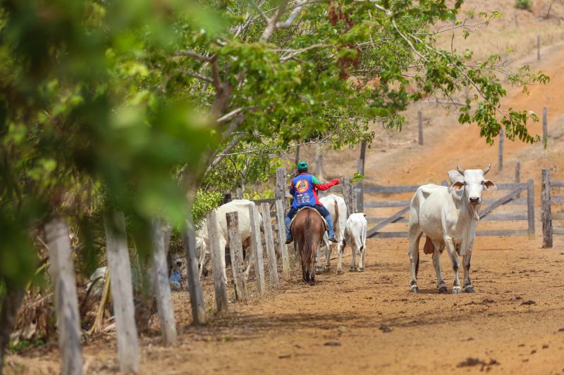 <div class='credito_fotos'>Foto: Marcelo Lelis / Ag. Pará | <a href='/midias/2023/originais/17747_382bb8ad-7d00-ec0f-73a0-7a44ff784926.jpg' download><i class='fa-solid fa-download'></i> Download</a></div>