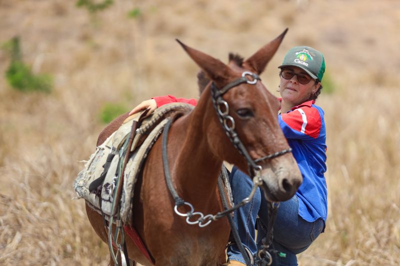 <div class='credito_fotos'>Foto: Marcelo Lelis / Ag. Pará | <a href='/midias/2023/originais/17747_4e49f46f-28bd-1e24-dae8-3a0dd5e2d042.jpg' download><i class='fa-solid fa-download'></i> Download</a></div>